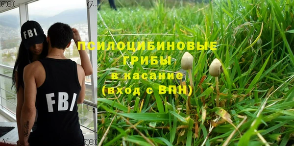 гашик Алексин