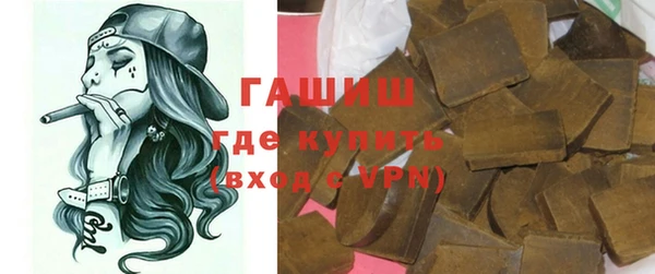 гашик Алексин