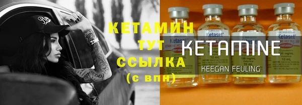 гашик Алексин