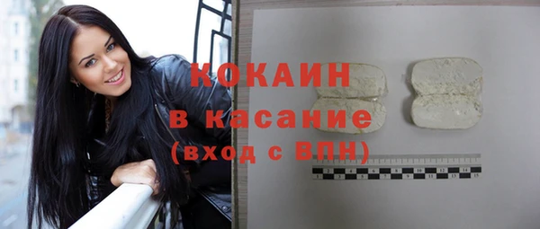 гашик Алексин