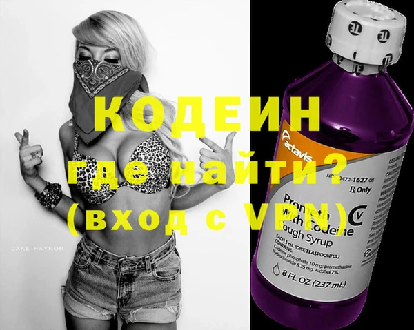 гашик Алексин