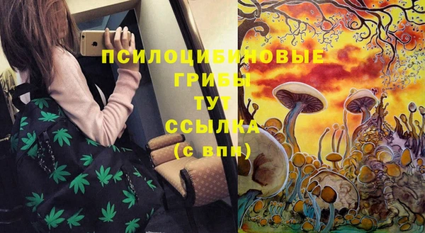 гидропоника Алзамай