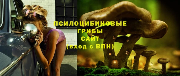 гашик Алексин