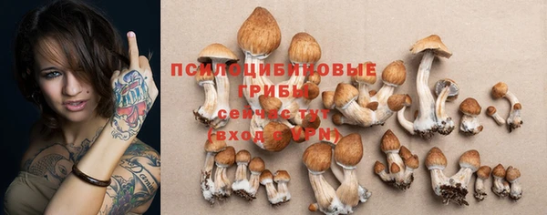 гашик Алексин