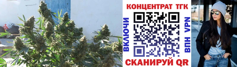 купить наркотик  Порхов  ТГК концентрат 